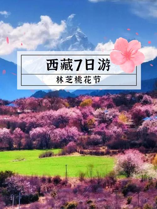 AI合成主播｜西藏林芝桃花节人气“爆棚”