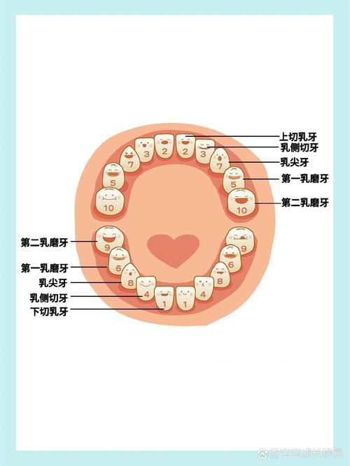 儿童乳牙需要拔吗？