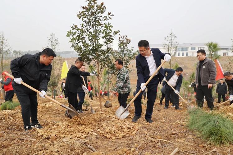 东安：千余干部群众义务植树