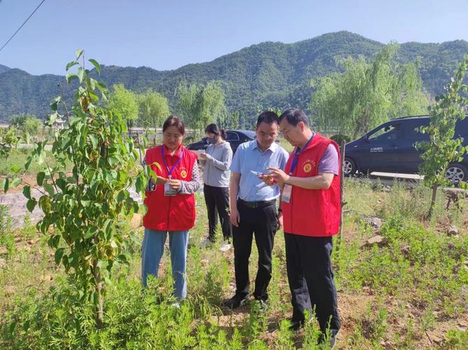 专业技术送下乡 林农种植解难题