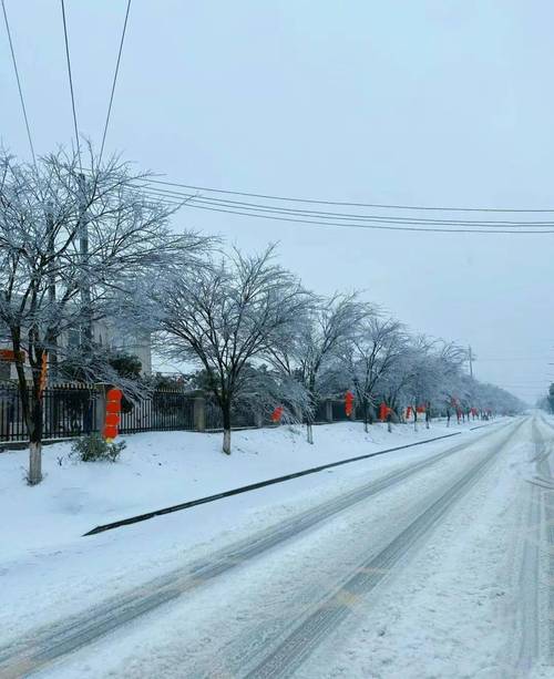 下雪啦！｜岳阳：2022年12月1日，入冬第一场雪如约而至