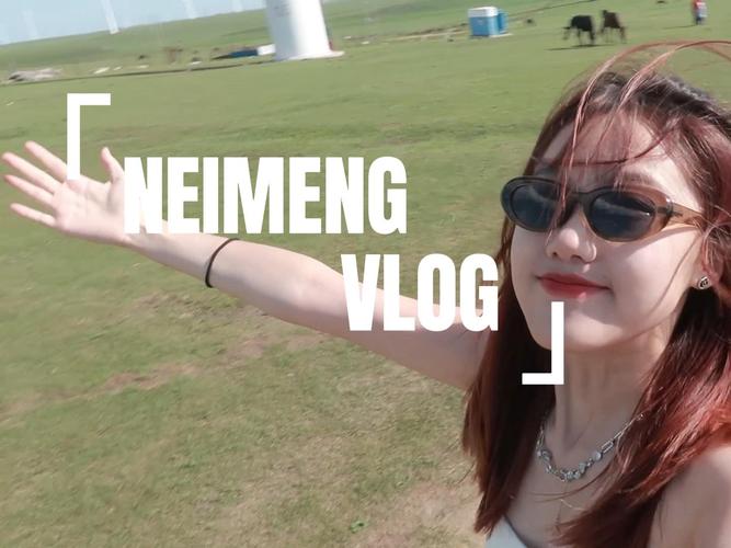 Vlog｜沙漠里的“群聊发起人”