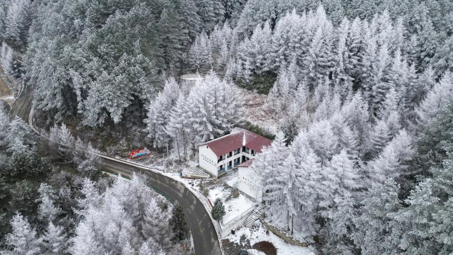 千城胜景｜楚雄姚安：冬日晨雾 如梦如幻