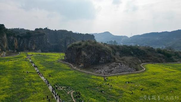 重庆巴南：矿坑变花海