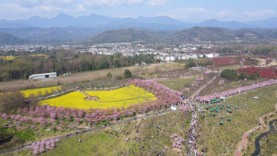 “问花村”里话乡村振兴