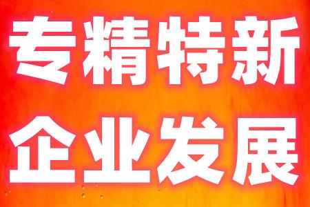 河北定兴：聚力“专精特新” 赋能高质量发展