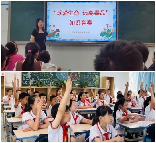 麓山国际第二实验小学：筑牢禁毒防线 守护多彩童年