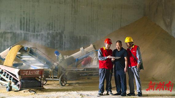 视频 - 国网湖南电力满格电力护航秋收粮满仓